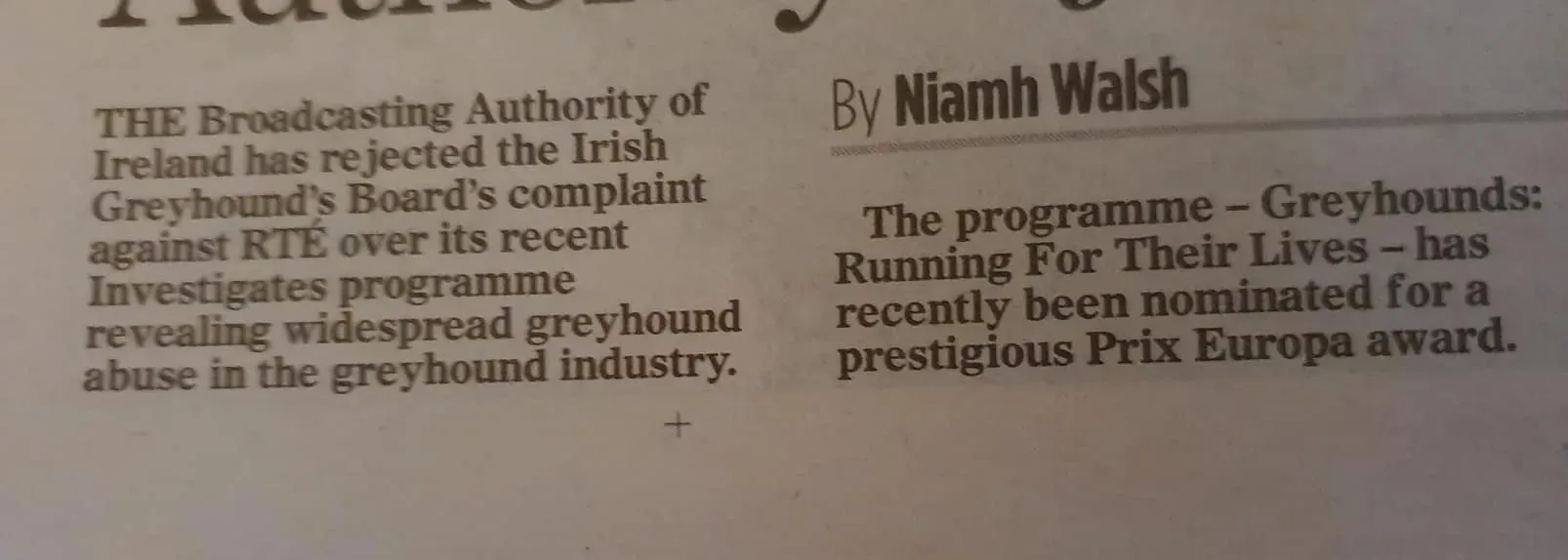 80679867 10157198354177620 6820570046444601344 o