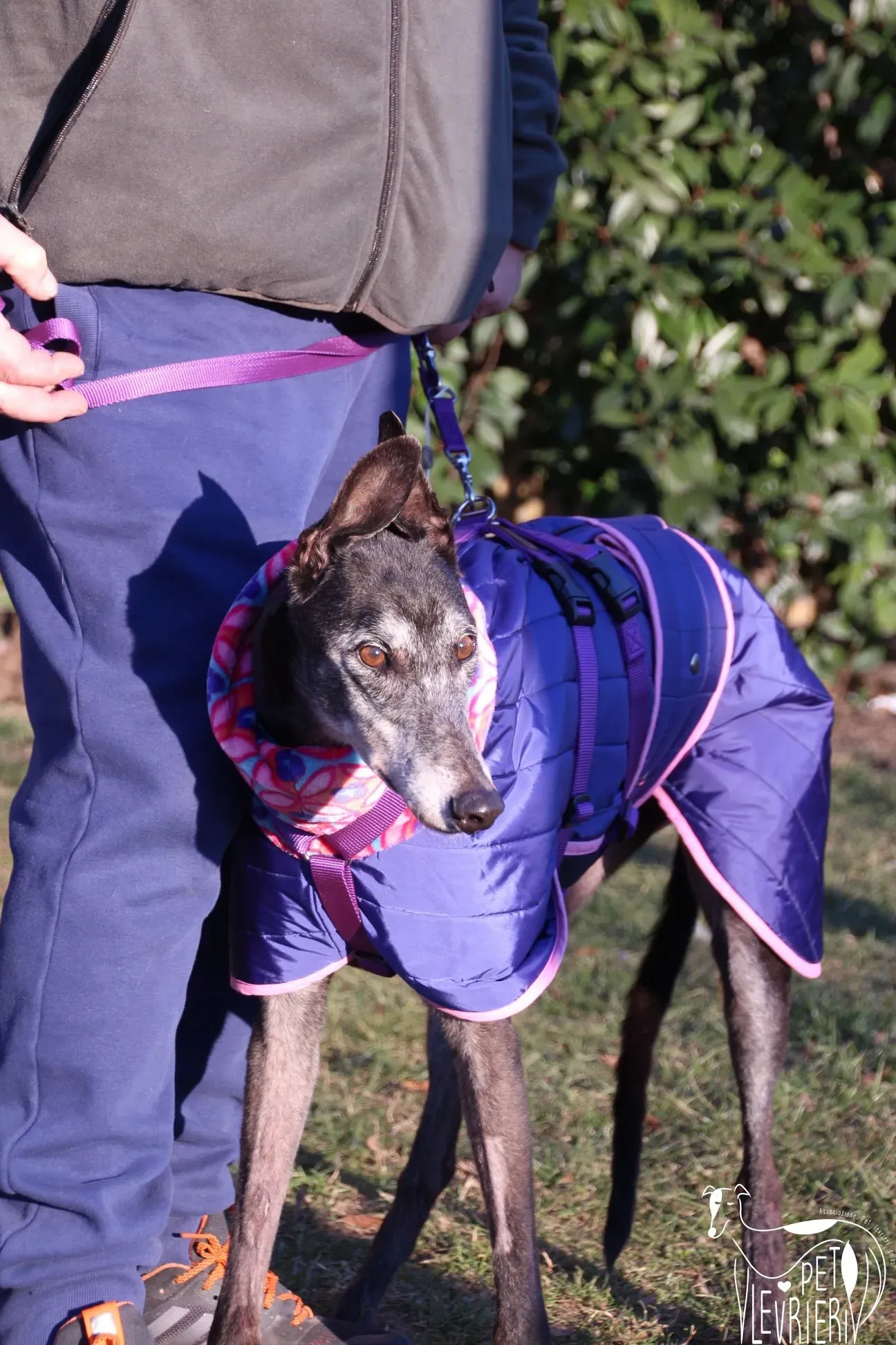 80B9935D BE4E 4CEA 9F9A 545EA2B97E69