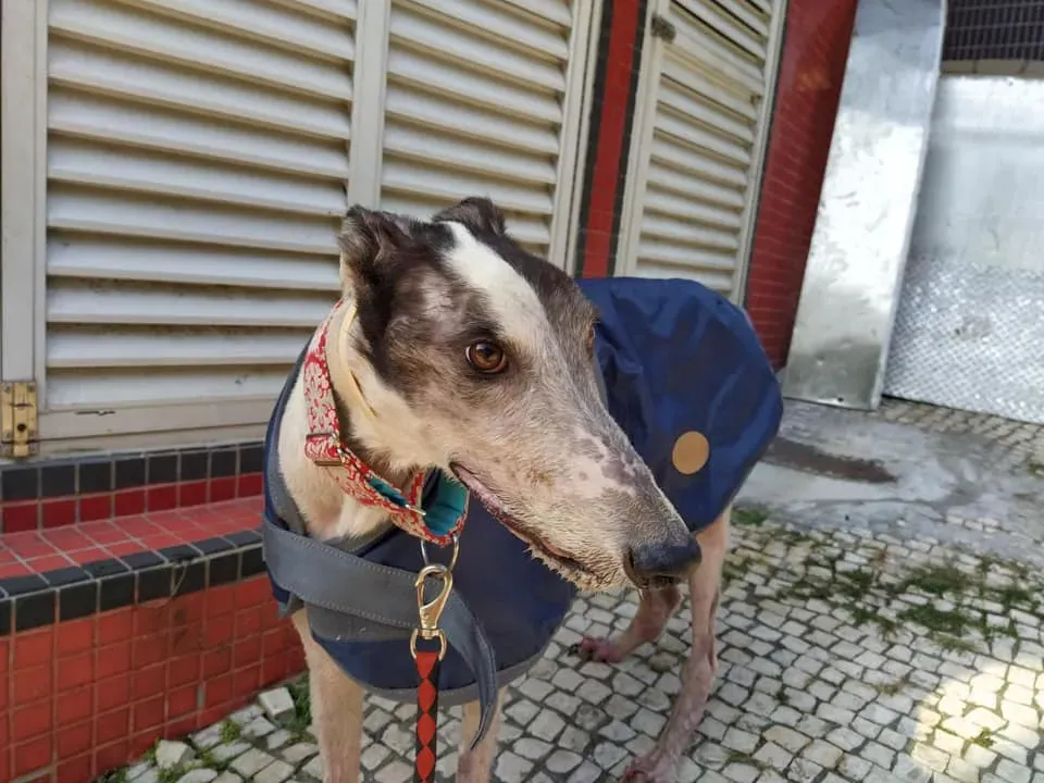 81022049 2668345986582573 8147028145573199872 n