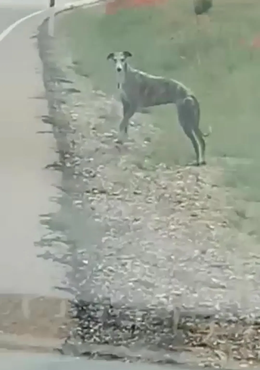 81768408 2621083321461549 8888248950067298304 o