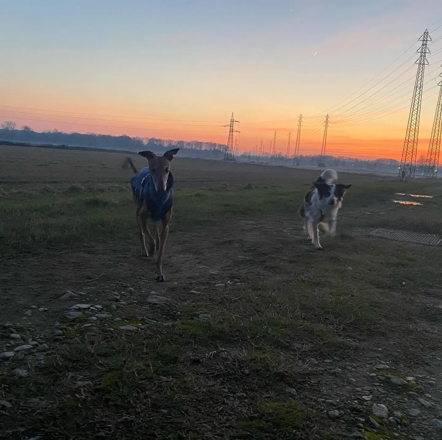 81799591 10157072849638246 2147438735526985728 o