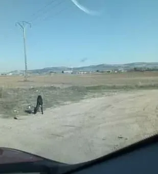 81833589 2621084098128138 8652754793715990528 n