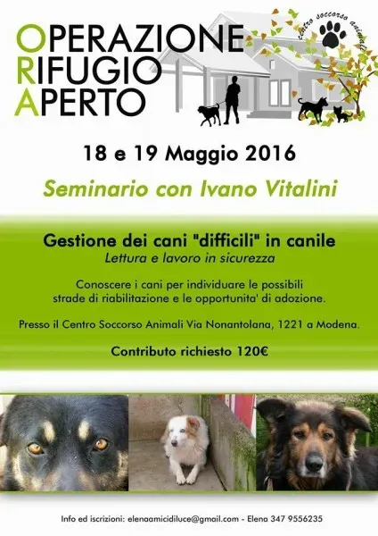 8183 784665148331058 4078141577444919410 n