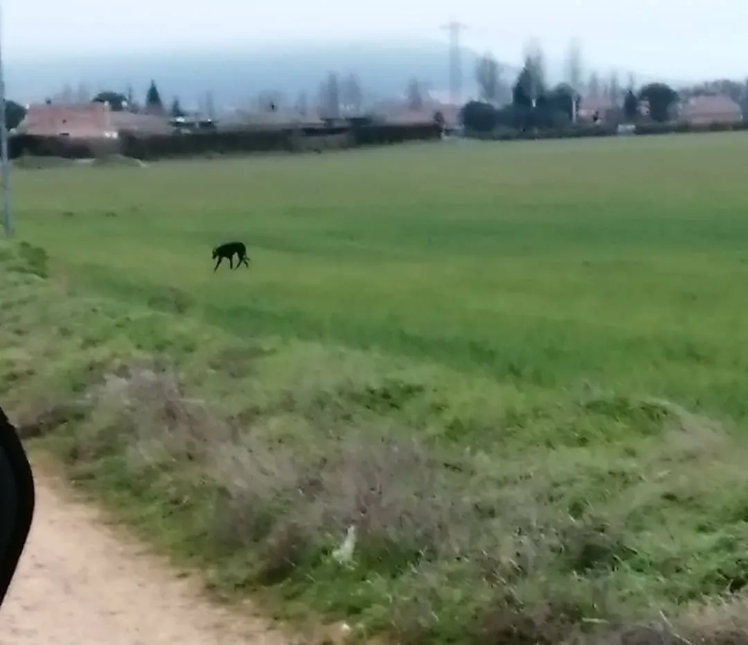 81882818 2621084038128144 1730025930774020096 o