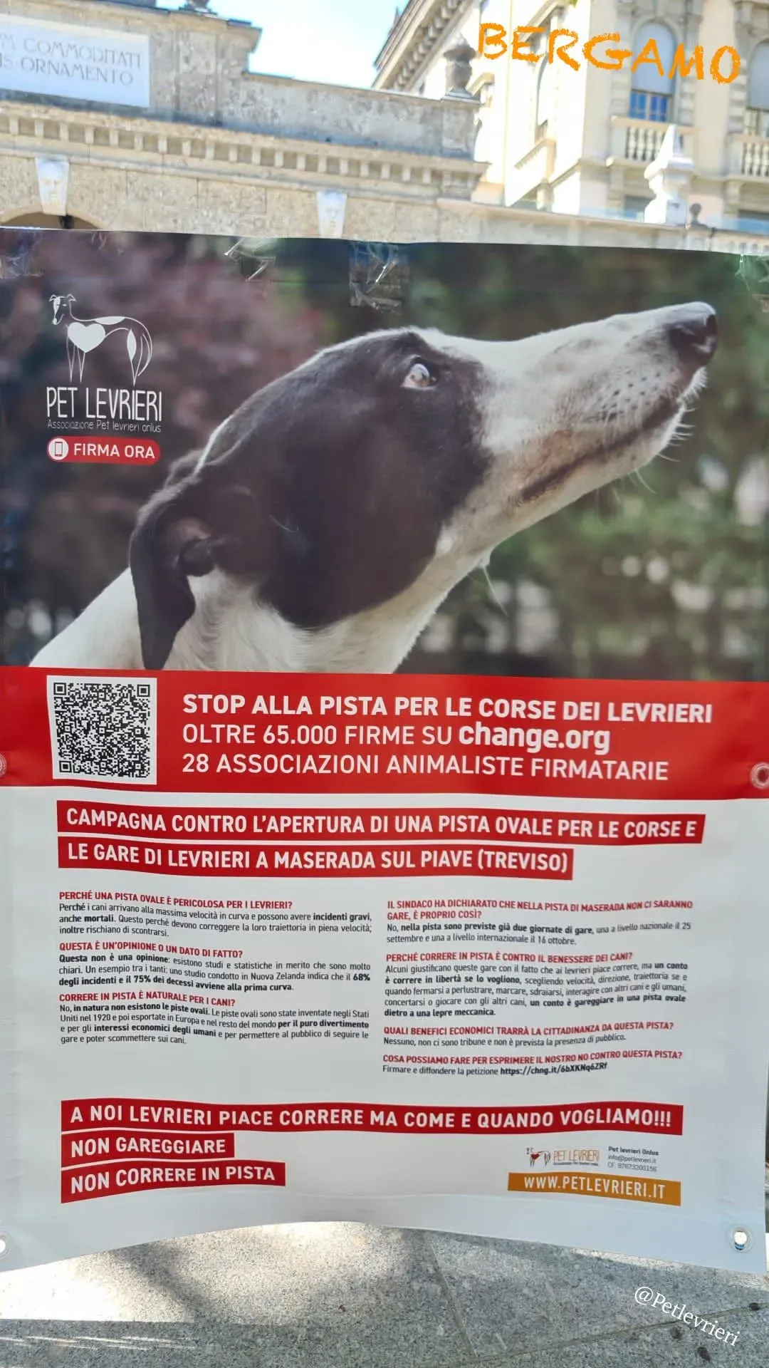 819eb62d d082 49f7 9105 761c9854ca62 risultato