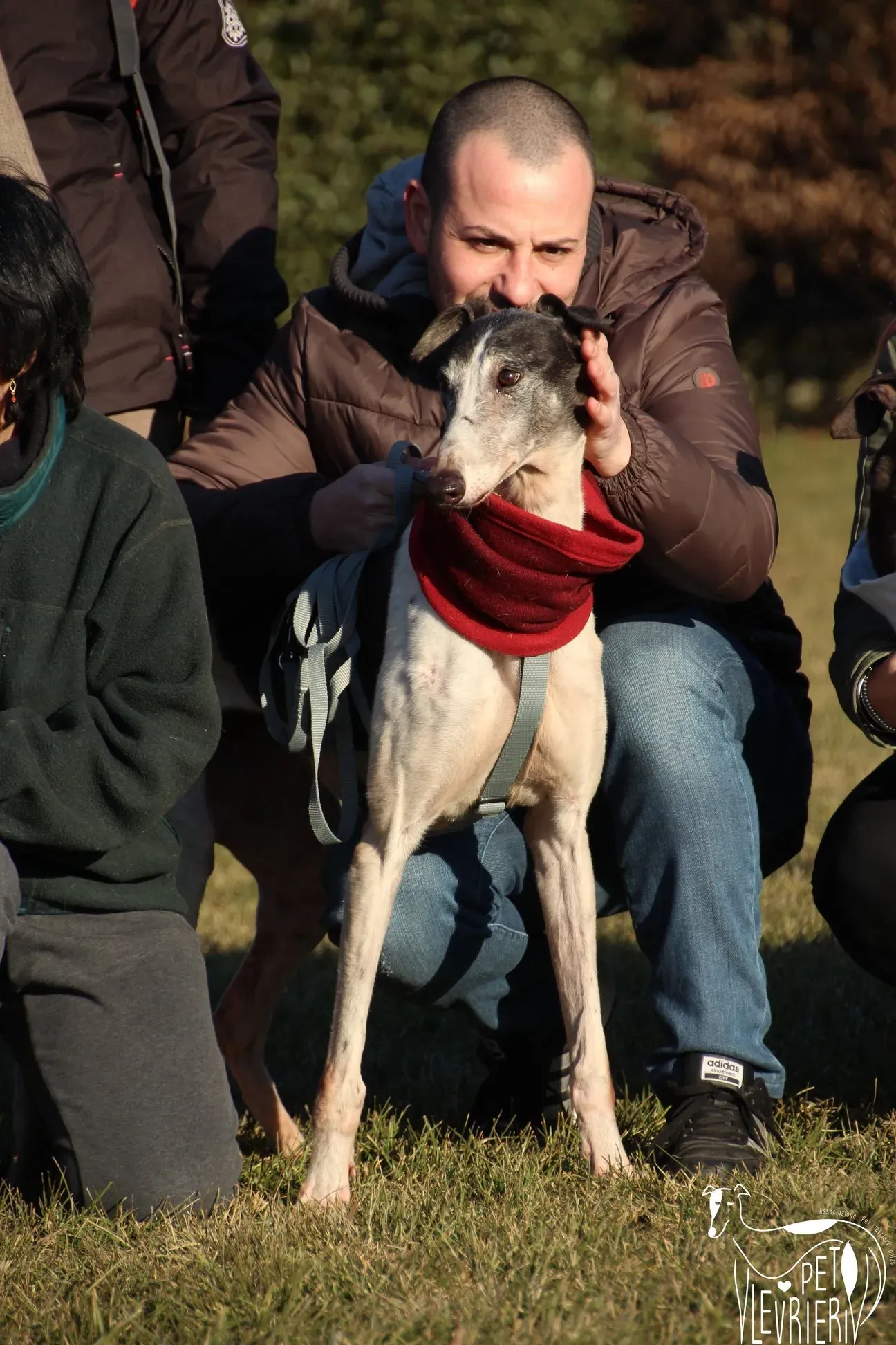 81DB27A3 0C9C 44EA 835F C8E57C9DCCC1