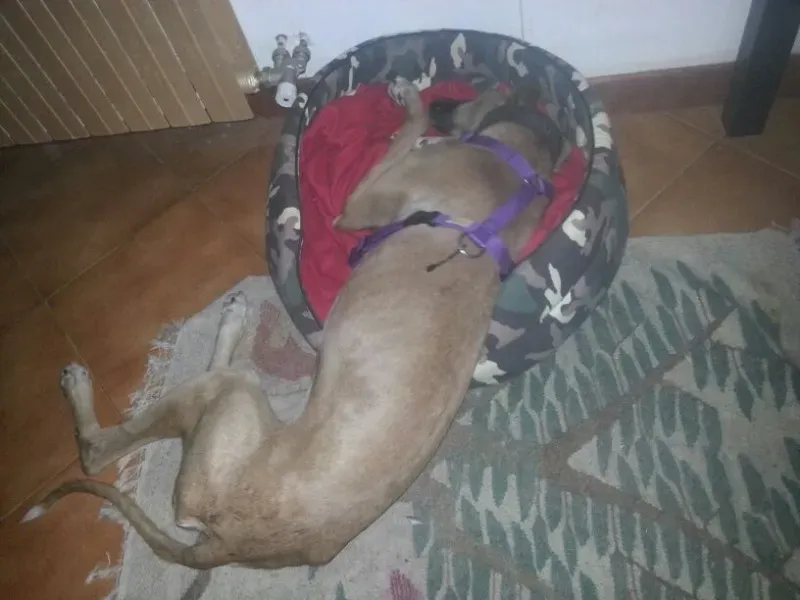 81ef7291d318cf6694fd28f655d79ed6