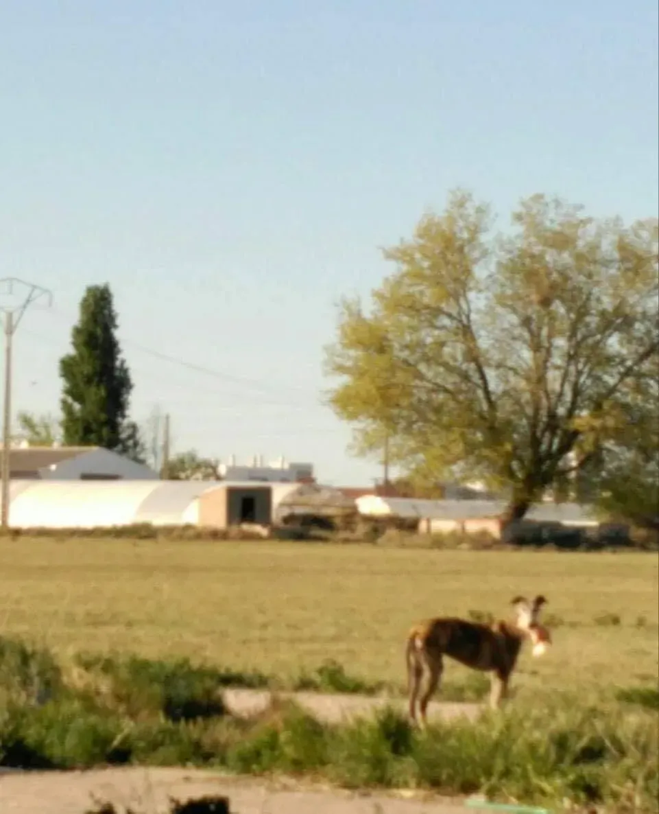 82093927 2621083654794849 218721170894094336 o