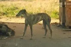 82143152 2621083704794844 1604142273279295488 n