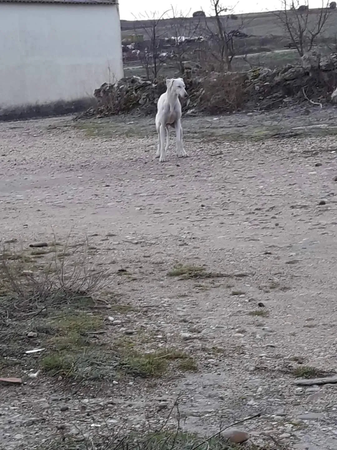 82529002 2621083591461522 7095527874140045312 o