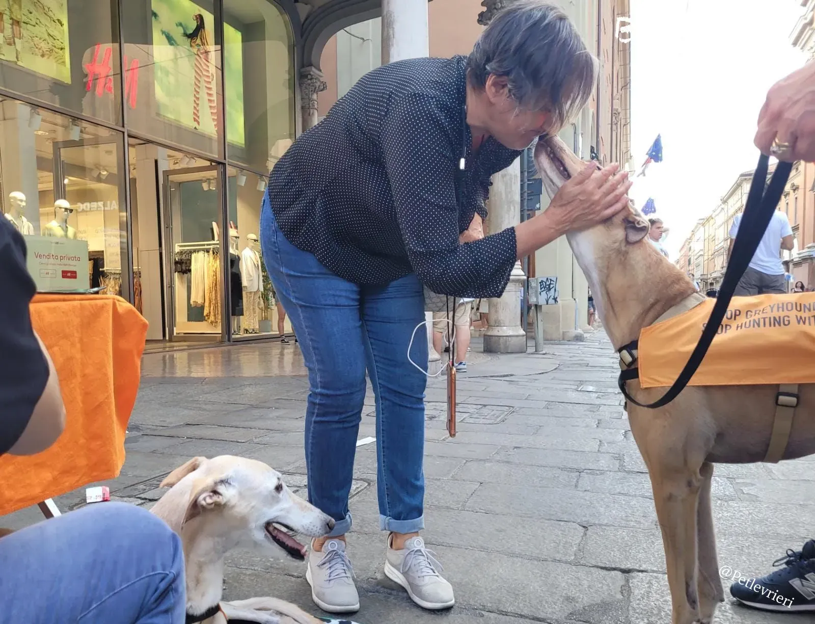 826cb1dc d57d 46c1 b749 55f04a408350 risultato