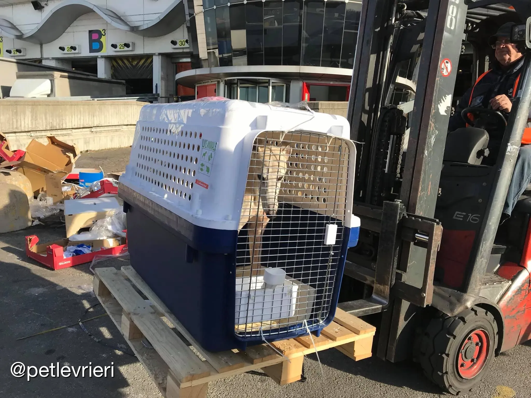 82BDF5A0 C2DE 4110 8771 C151C82FAA46