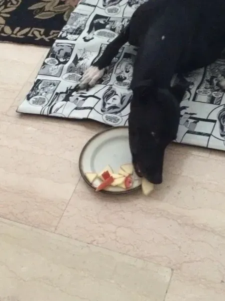 8342 10208493527152638 475031428686592533 n