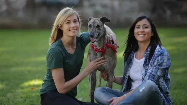 834b8fcea193b4c14d63acb676130235