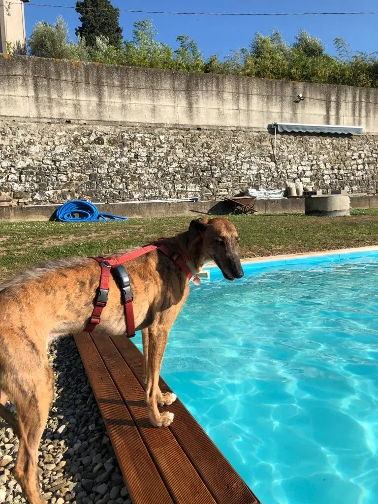 83683b81 4cec 4889 8392 72e3c65def00