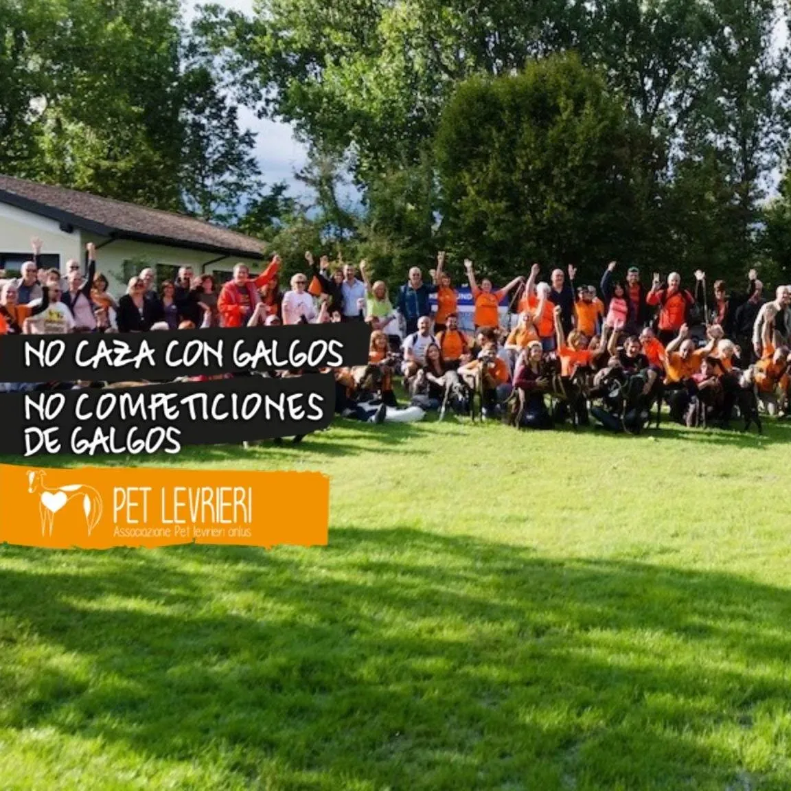 83824273 2819347231490195 3509819374183645184 o