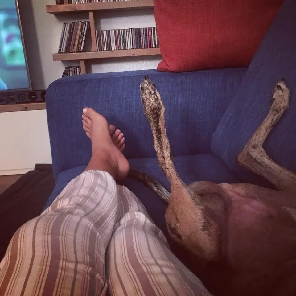 84417097 10157137469788246 2956362883329425408 n