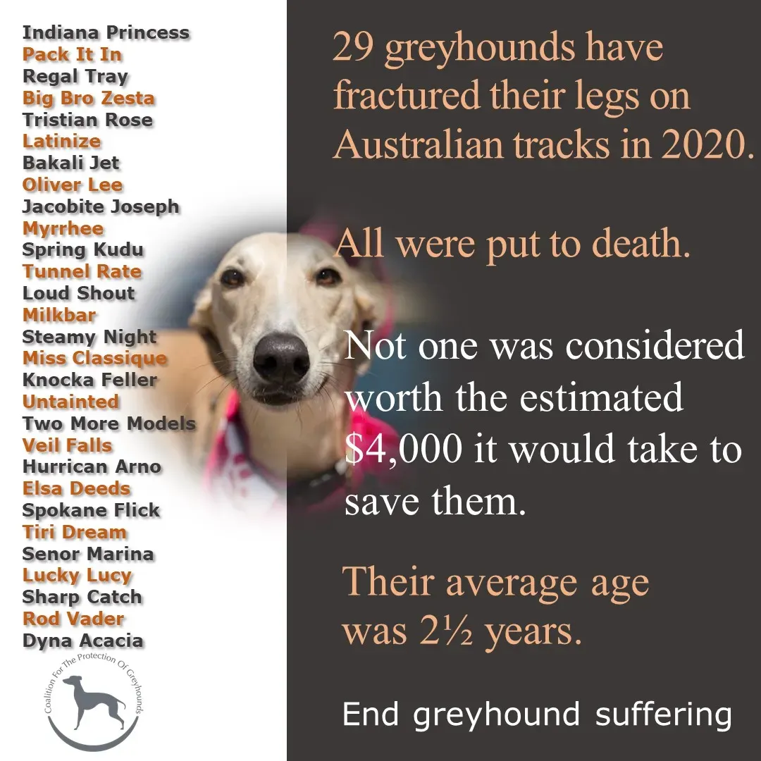 84504879 2224495974524055 7963950139469463552 o