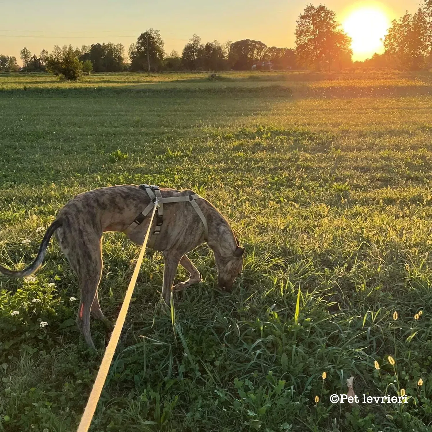 846EF4B1 4CB3 48B5 AFCE 7A18D0FE5C73