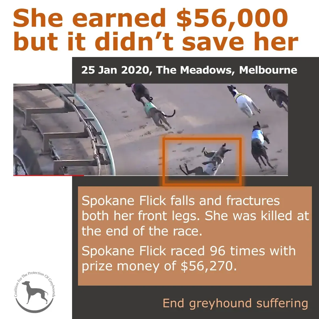 84793916 2230316507275335 2024248052591624192 o