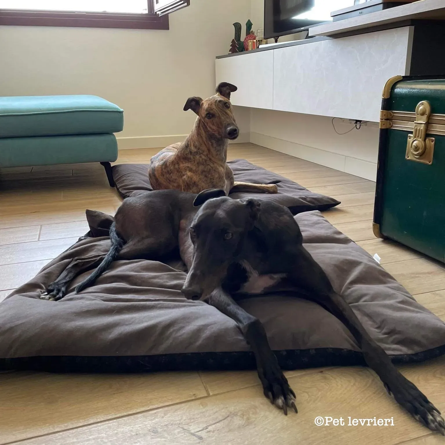 8562CF37 B646 4AB8 9CD3 B06D25DB6429