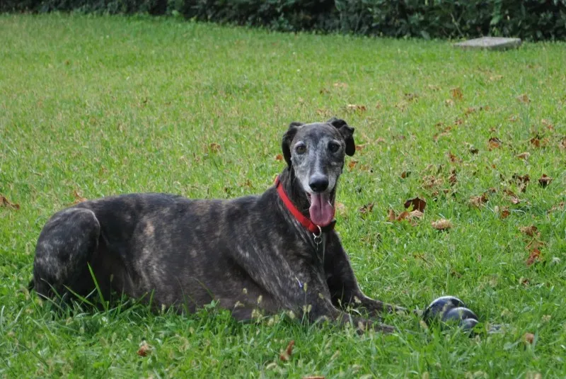 859629 754337304632506 6706485365210319128 o1