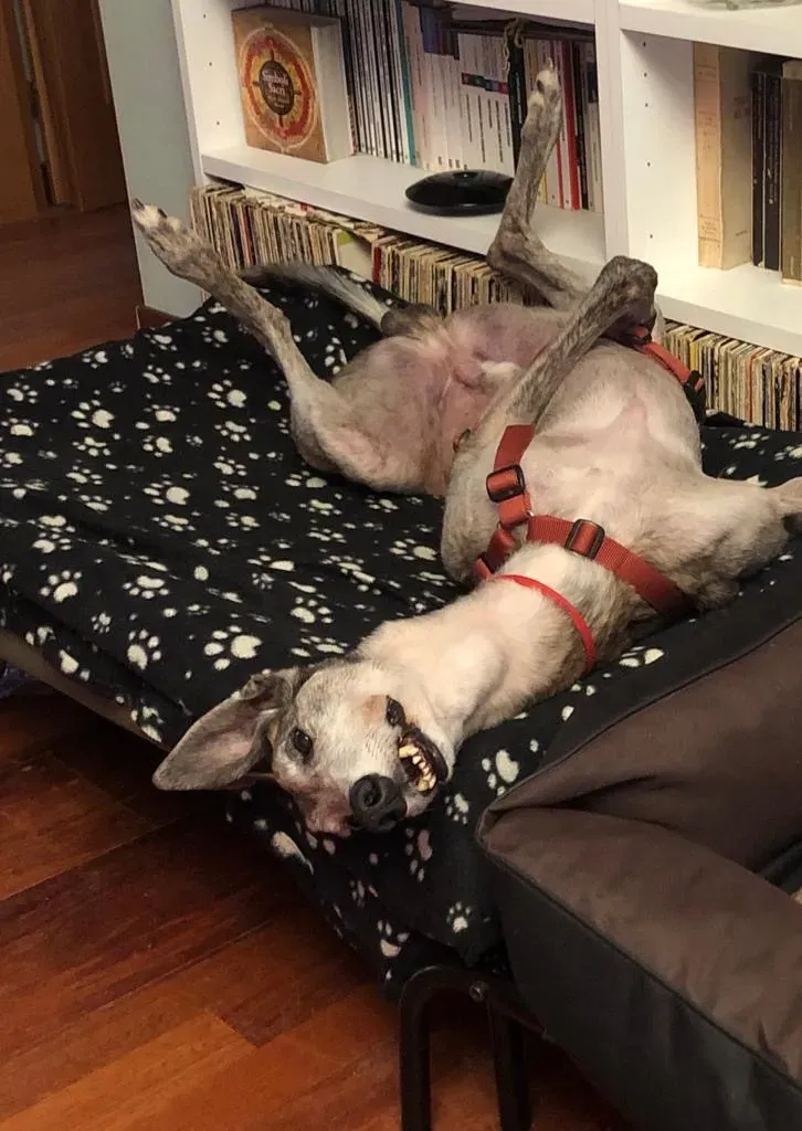 86ce99ae 1256 4e4f aeb1 aae182e3d2f1