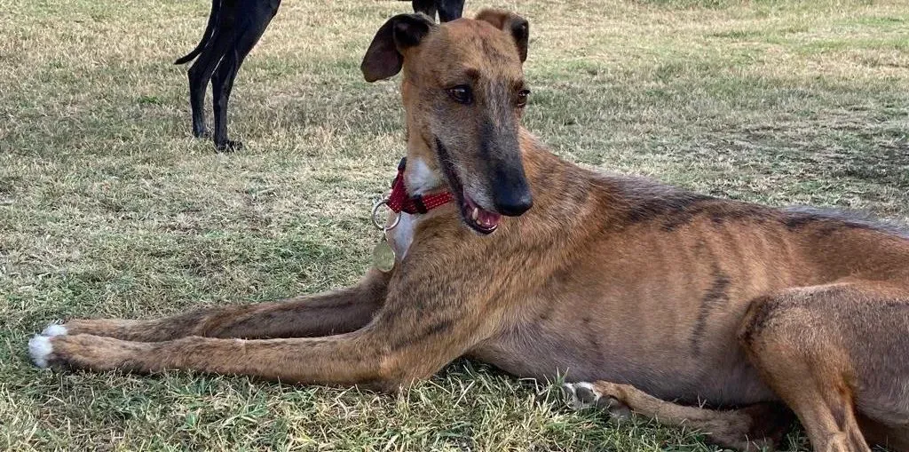 8731c346 894a 4d67 96b5 03db2f54e316 e1664135652249