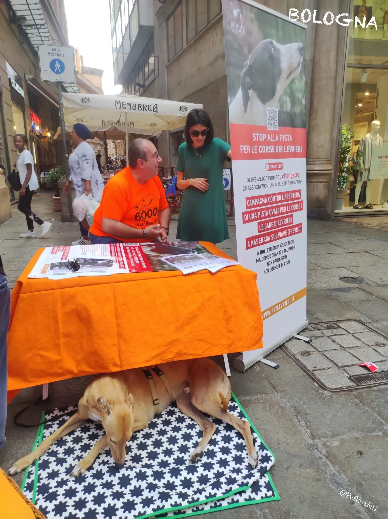 875fc4ff 183d 4a58 8793 963e3f053d3b risultato