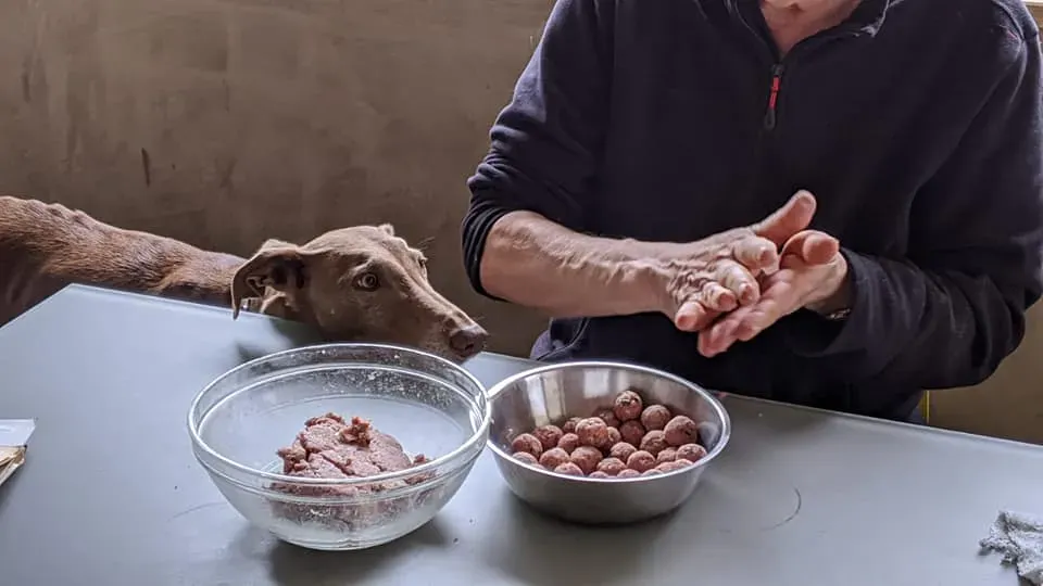 87852309 10157110567627475 2436801445446549504 n