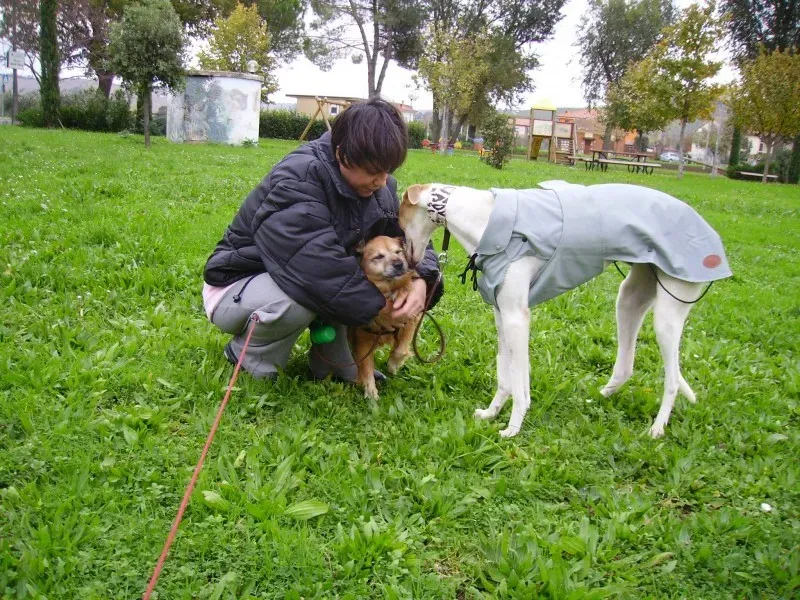 885888 3908228764416 4074725 o