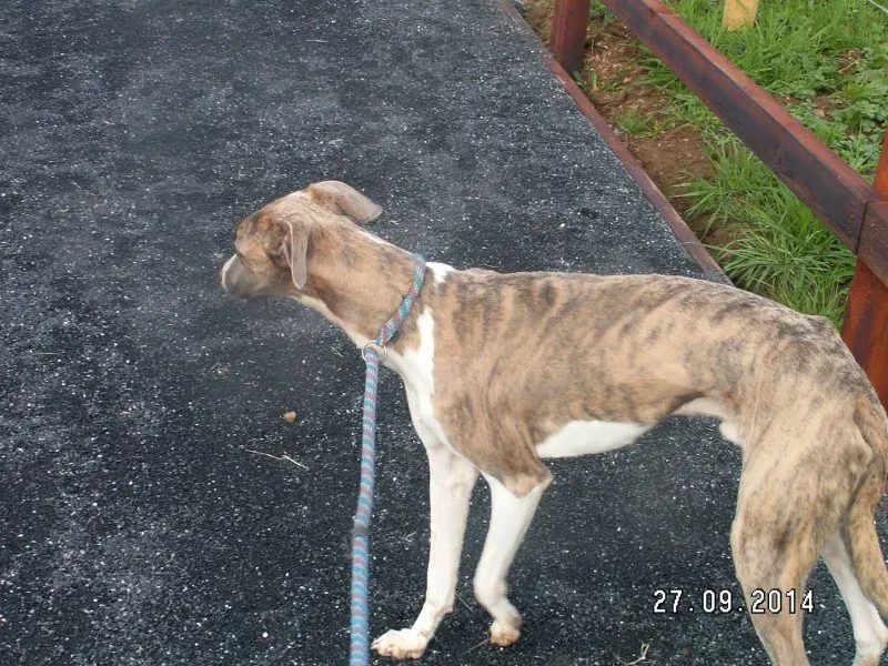 886733 10152482688168031 7650410529257416253 o