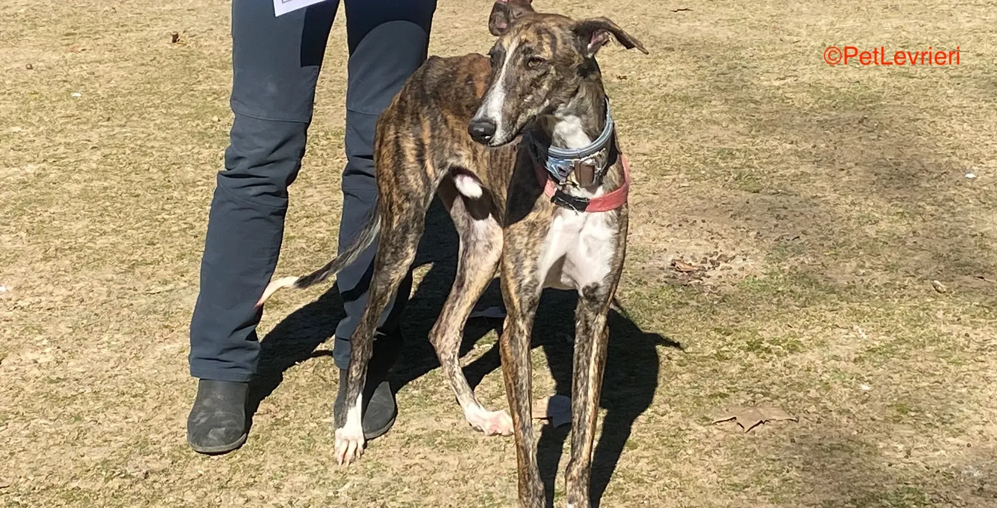 88c49df6 d7fa 4d7e bca4 c5e03b99c1db