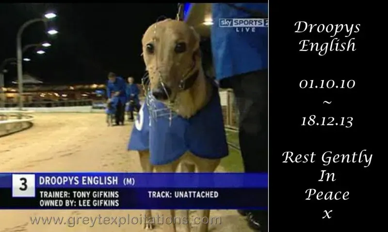 891699 607942742592228 1682601079 o