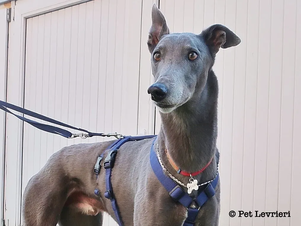 893866B0 A91A 4A2B 93BE 35DC992817E4