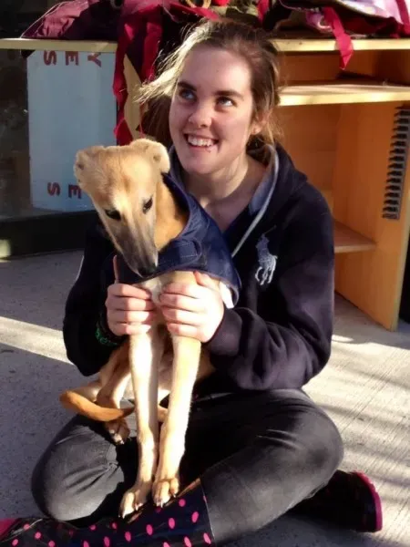 8949 1602968039931177 7957141247651395805 n