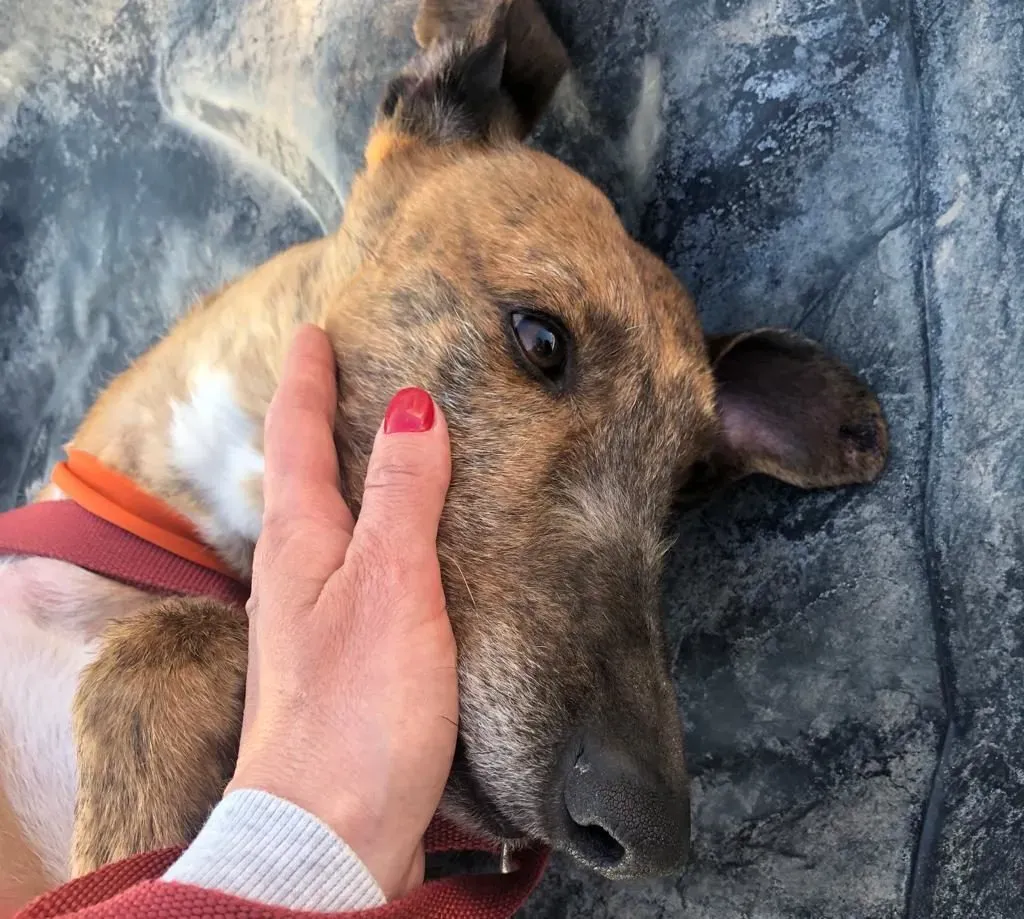 898e3dc1 b1fb 4d60 a1a2 5cd9dd4b0bc9 e1664127278859