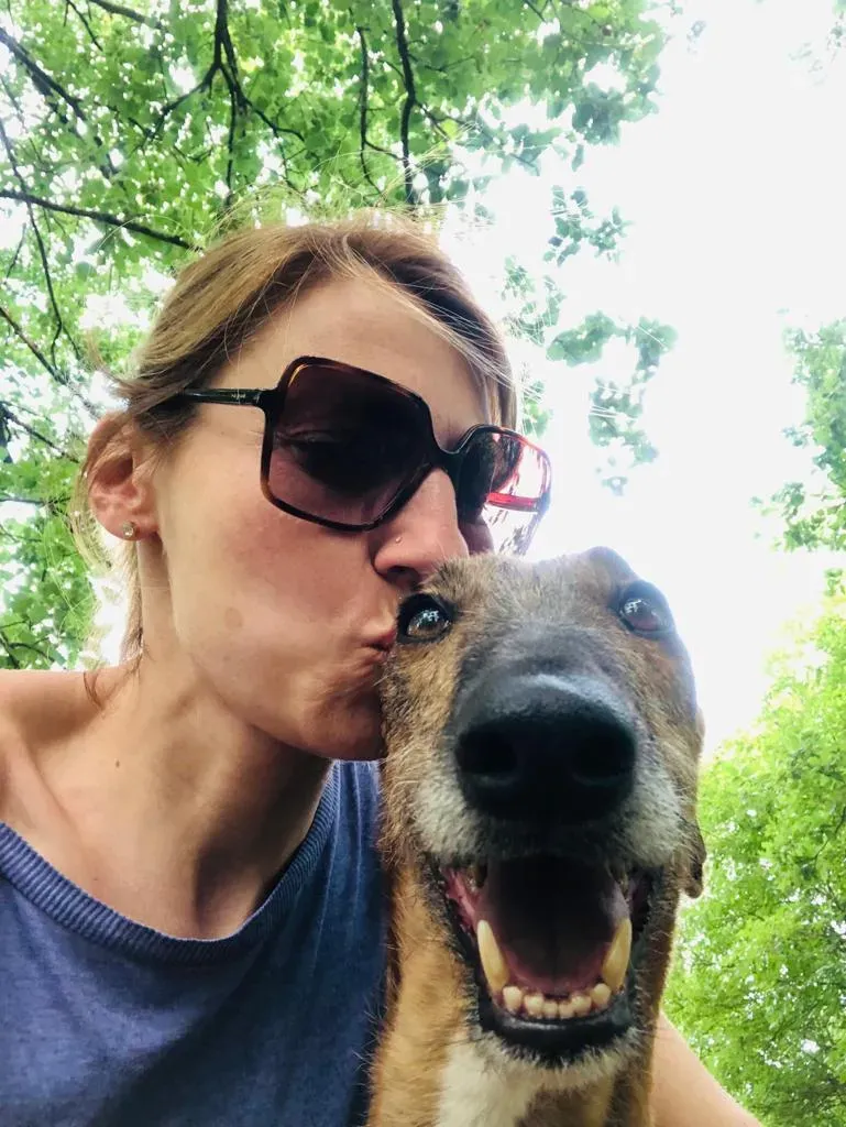 89e8099f 66de 4016 b4c9 87278928868d