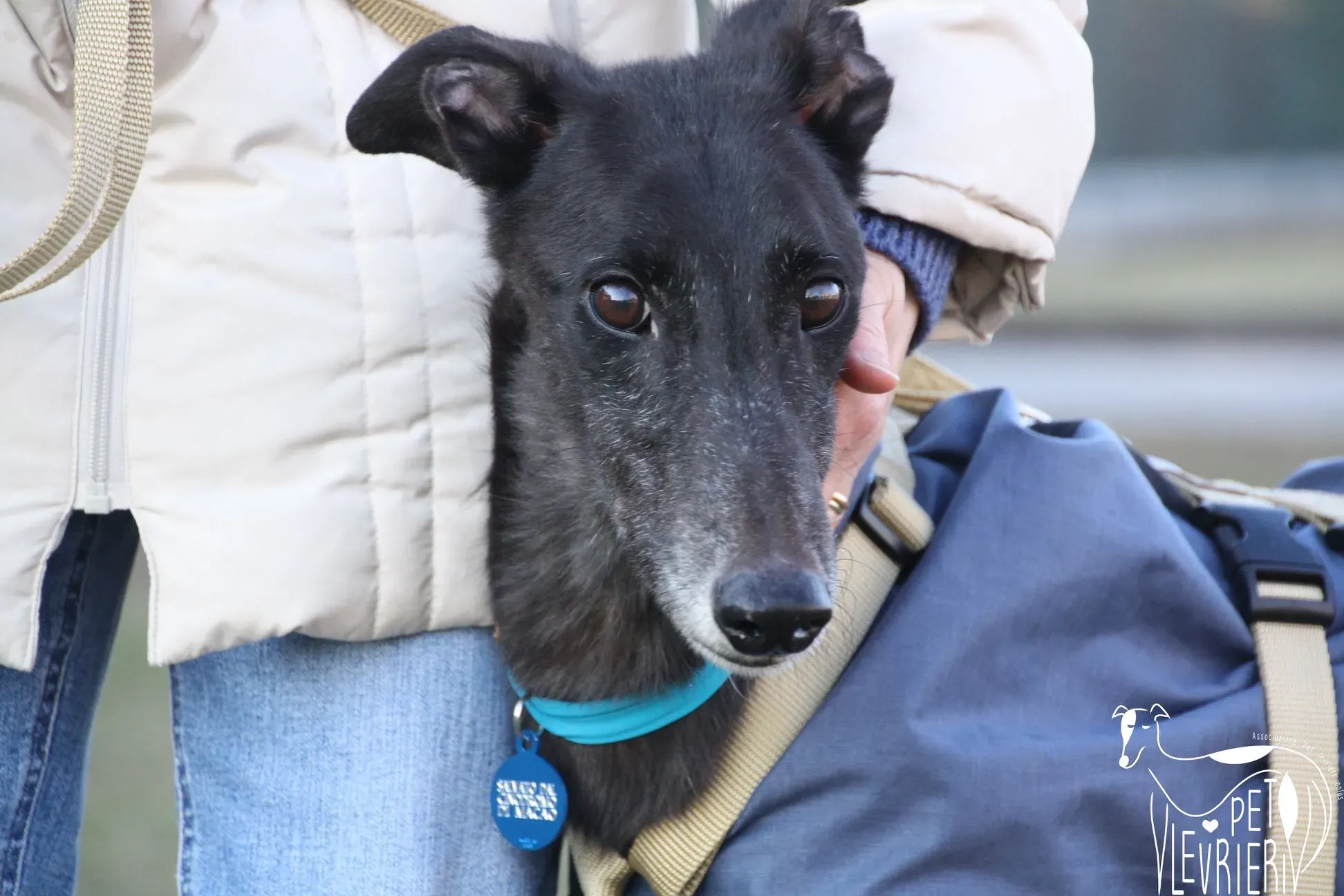 8C2A2B47 35C4 4208 99C0 05226B517848