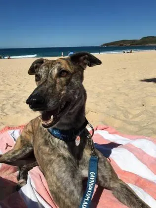 8a2410cac8edd1f2e6abe238264e8de4