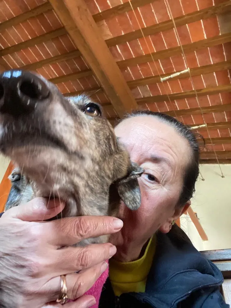 8b0c440e 4720 4a86 bcde 3512d5a0b821