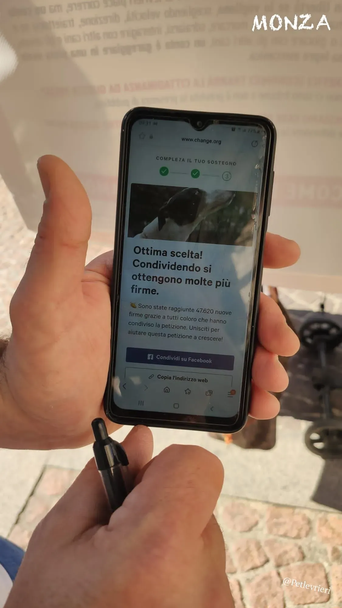 8cc4b86a 396d 423e 9aa8 835bfe56adaa risultato