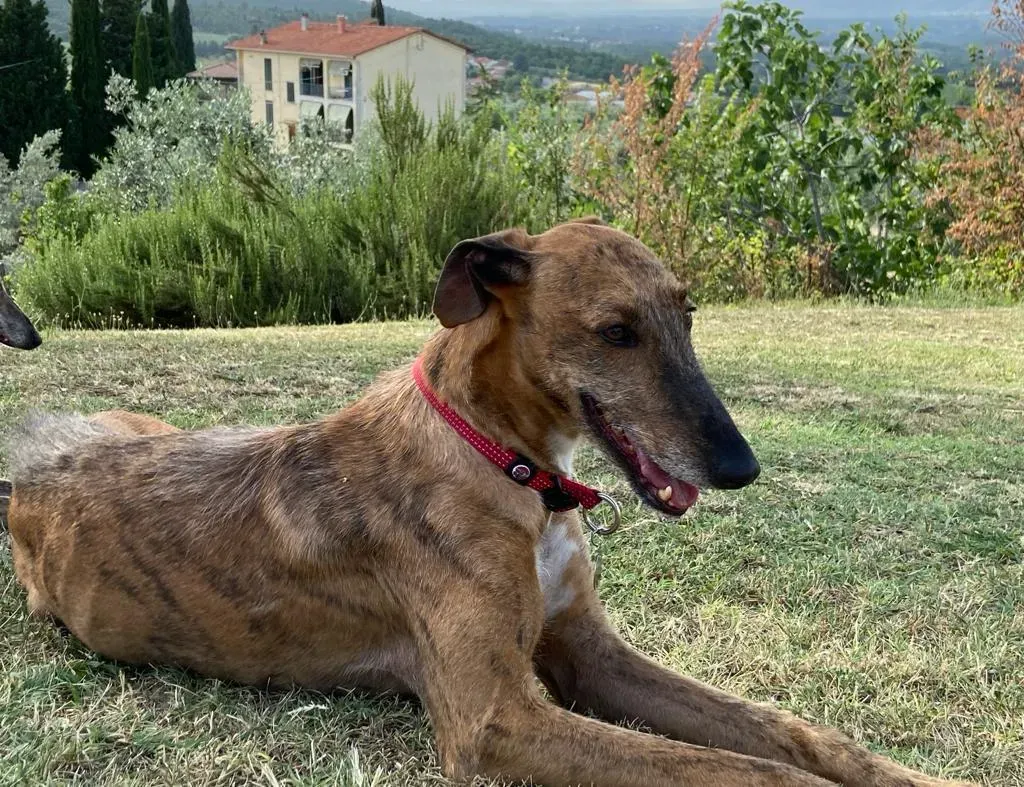 8f1a357b f80f 42e8 8e6a 17140b6276b5