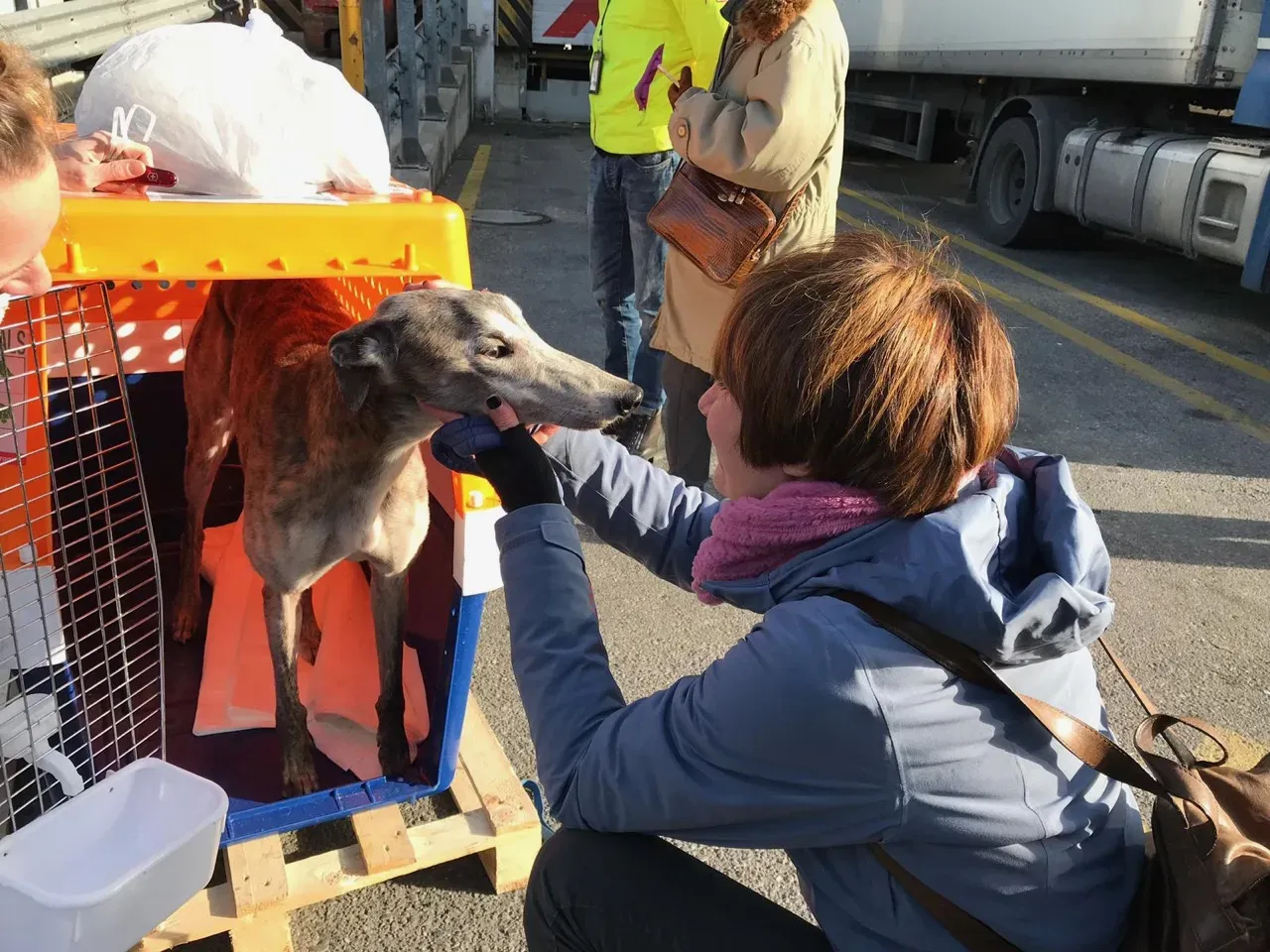 8f3852ee ee55 4f05 bd85 9290fa09de10