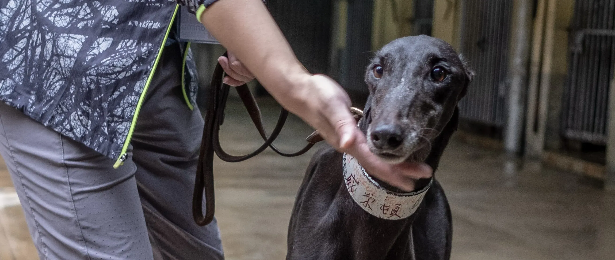 9 DSCF5695 e1544291911956