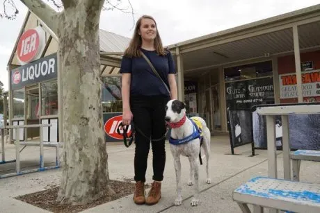 9027634 3x2 460x307 1