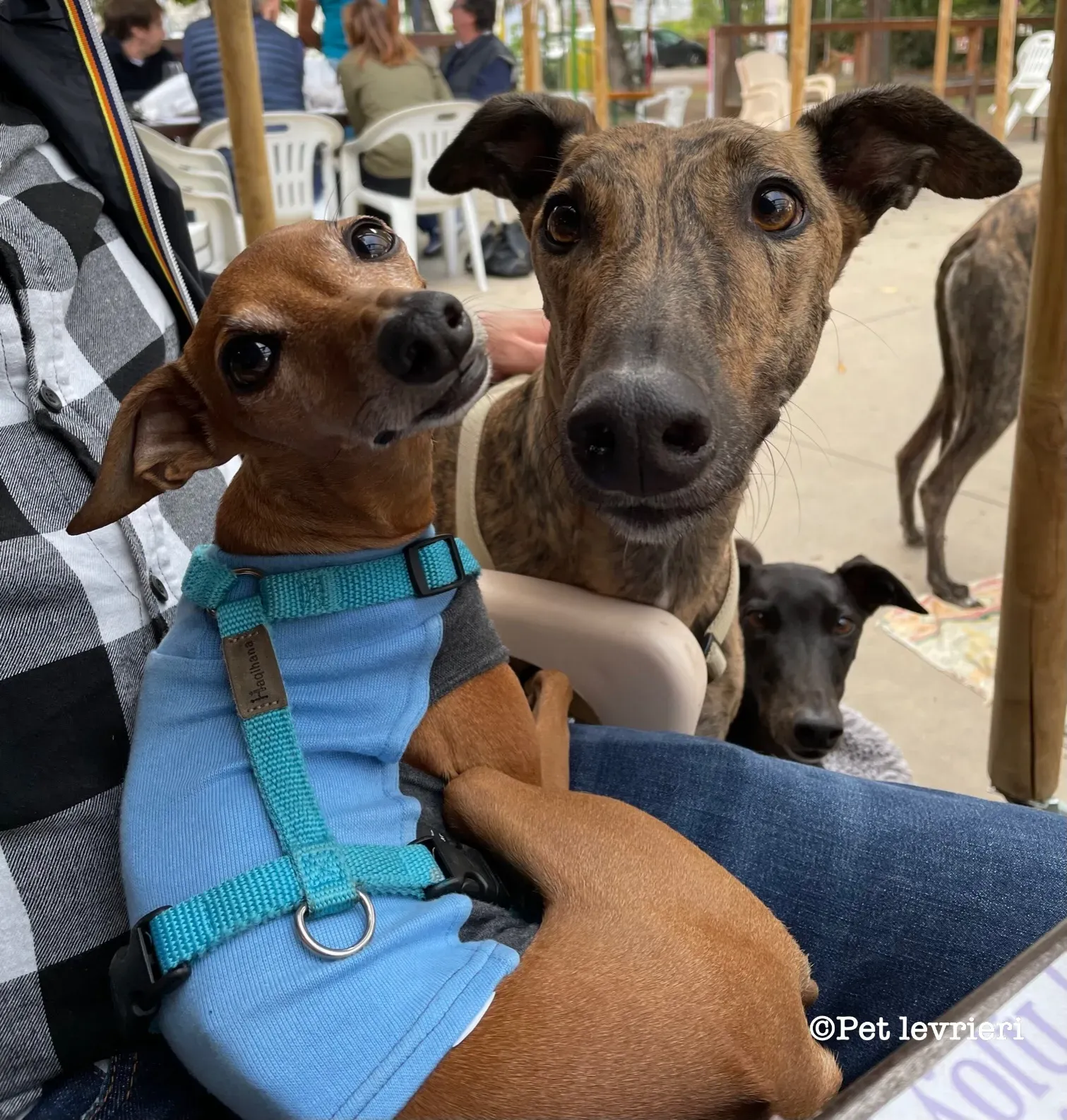 9032BBFA 189C 4126 998E 98D1E87F0A35