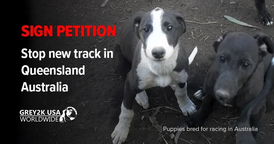 91060219 228229825046193 925301625331908698 n