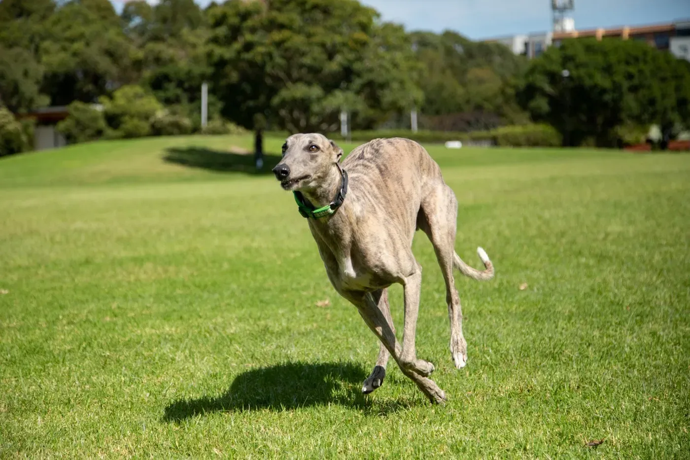 91060219 228229825046193 925301625331908908 n