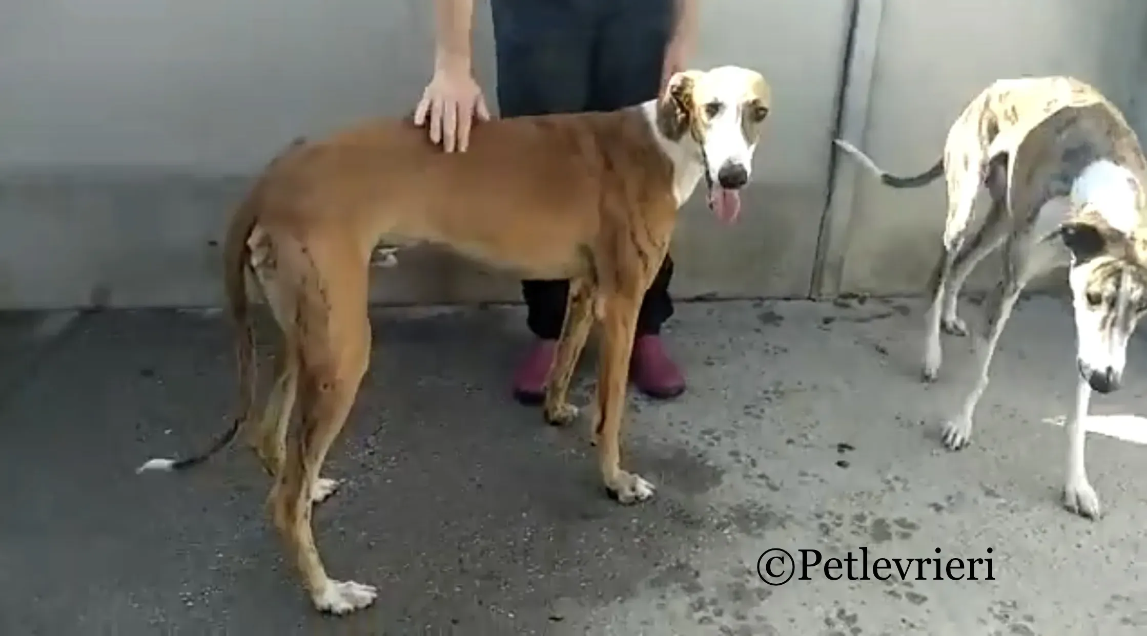 91A66276 CF21 47F2 B796 0E4FCFD8DF25